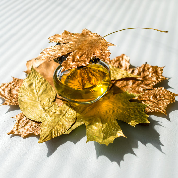 Top 10 Best Fall Scents for Home