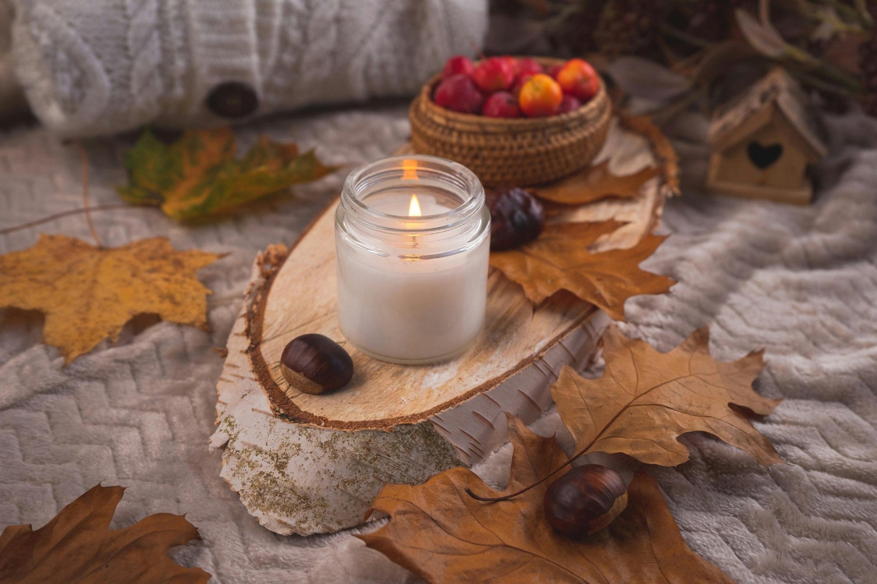 Fall Collections Made Clean: Introducing Autumn Scents With Stone Candles’ Natural Coconut‑Apricot Wax