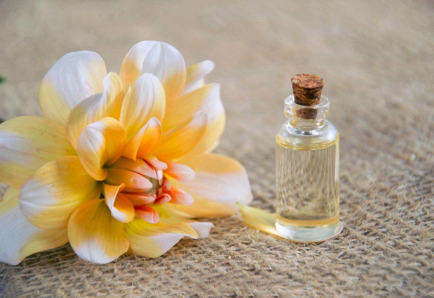 Spring Home Reset: Fragrance Essentials Beyond the Candle