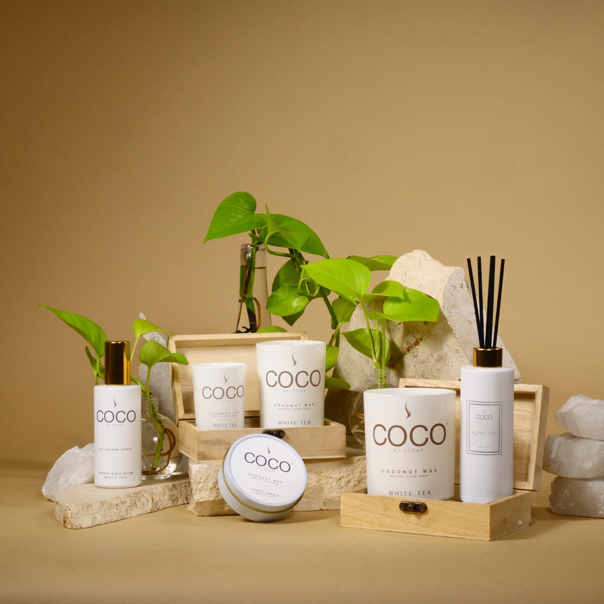 3.5oz White Tea Natural Coconut Apricot Wax Travel Tin Candle