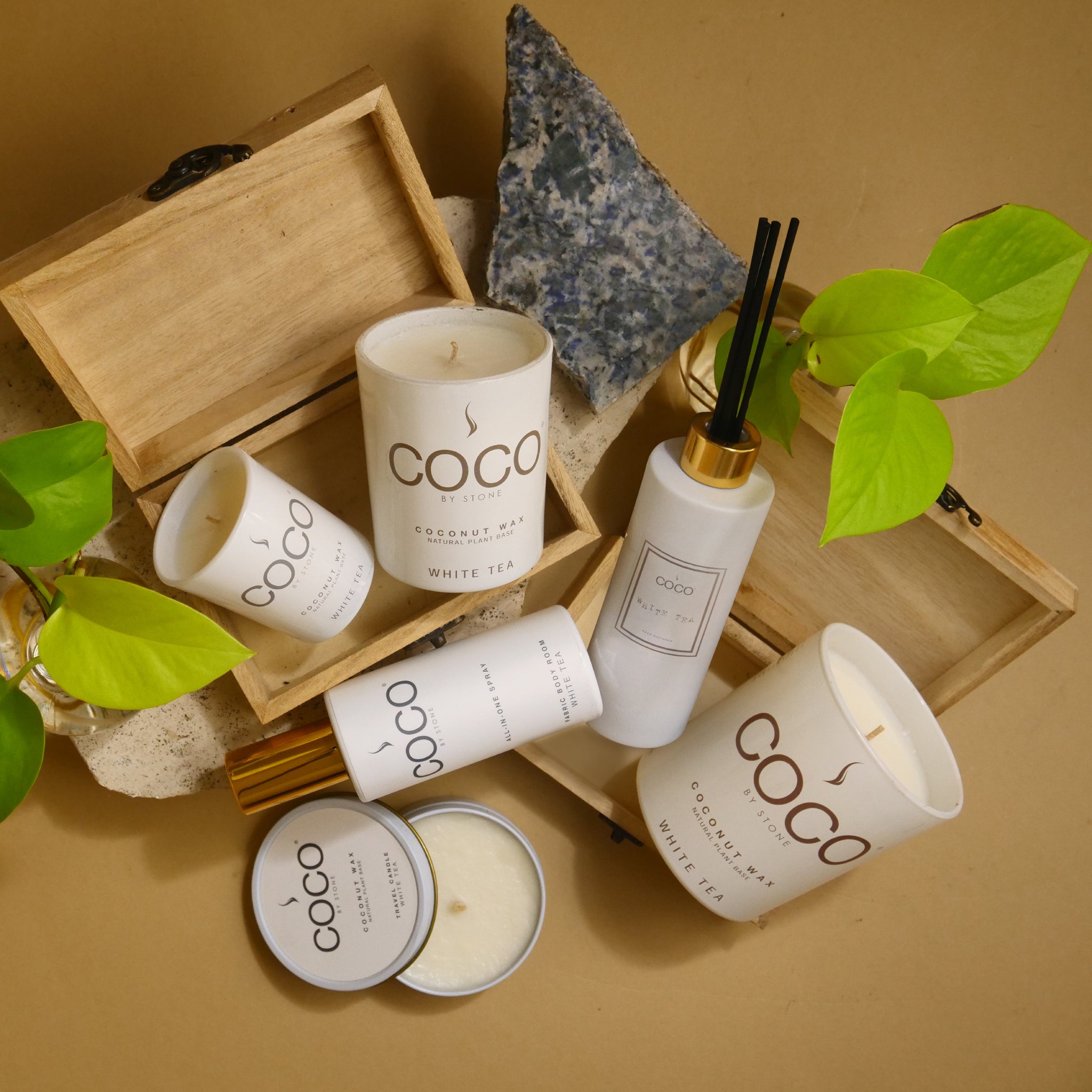 3.5oz White Tea Natural Coconut Apricot Wax Travel Tin Candle