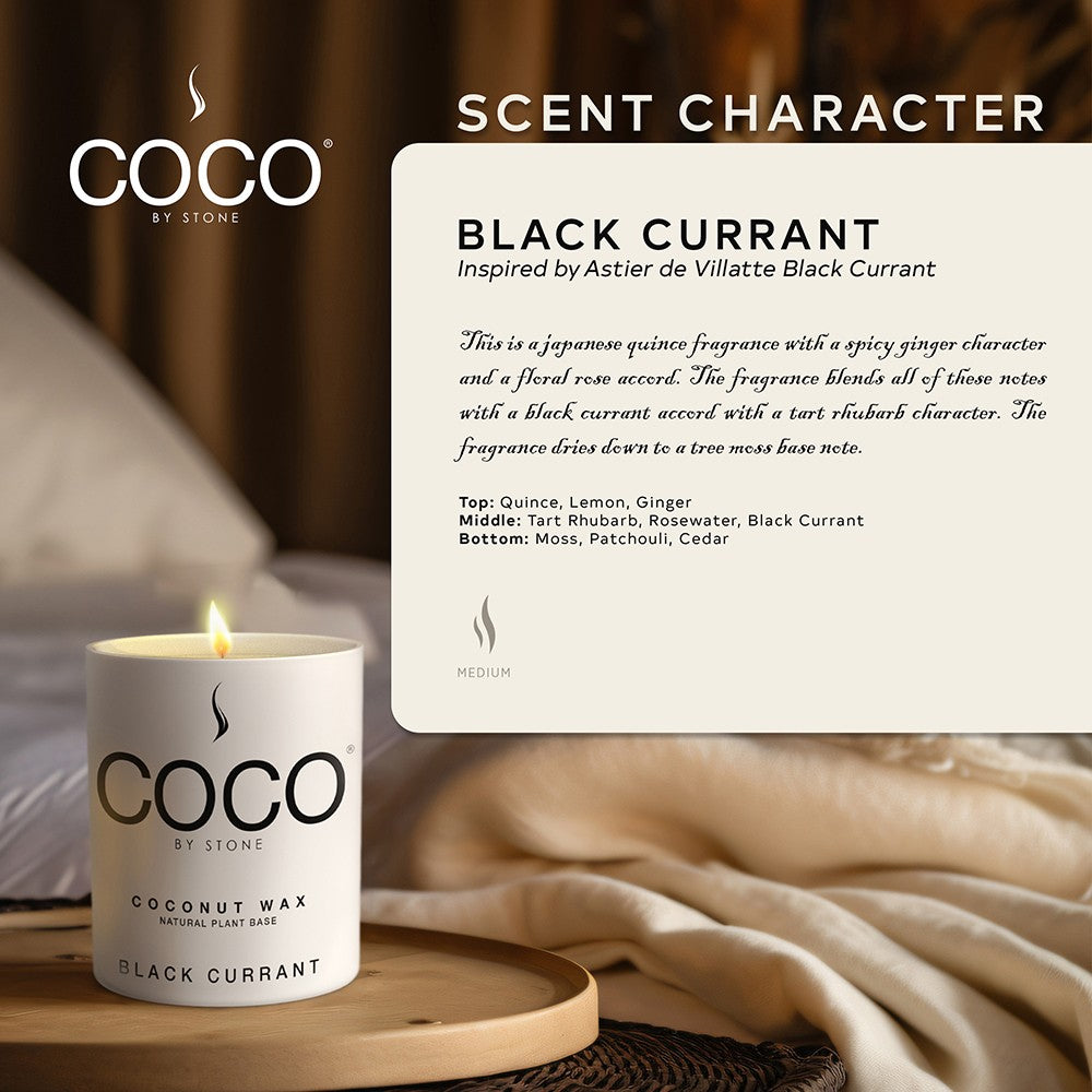 Black Currant Natural Coconut Apricot Wax Candle