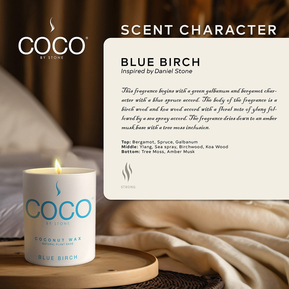Blue Birch Natural Coconut Apricot Wax Candle