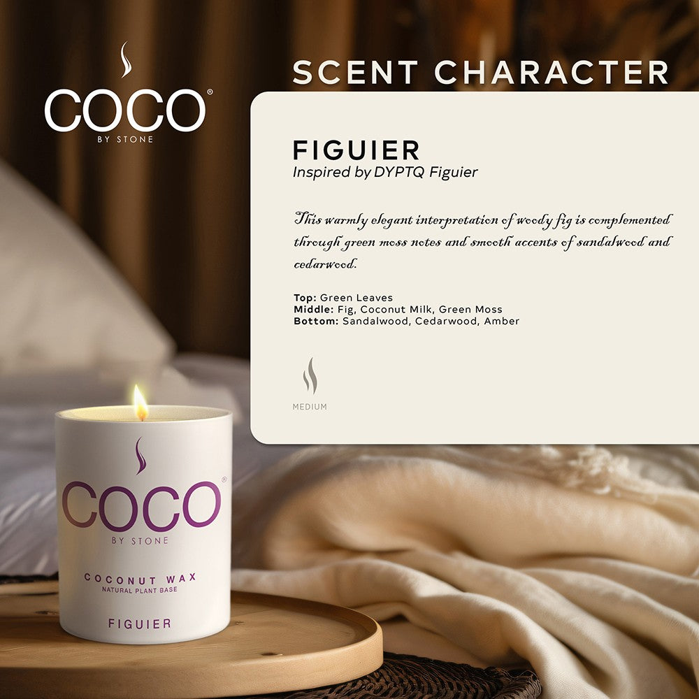 Figuier Natural Coconut Apricot Wax Candle