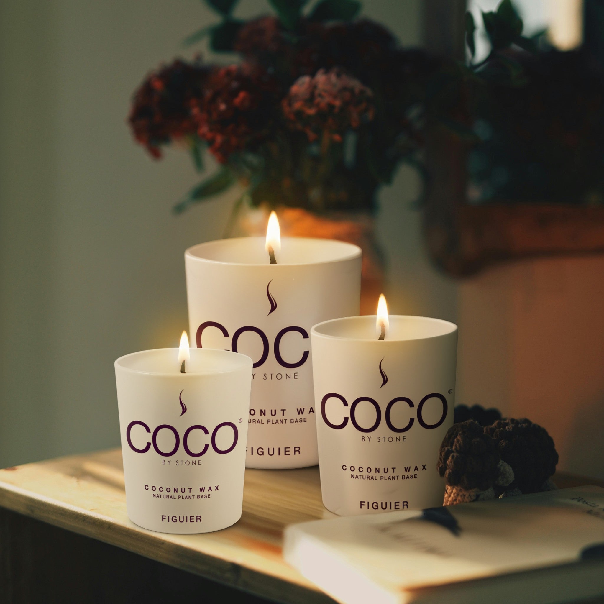 Figuier Natural Coconut Apricot Wax Candle