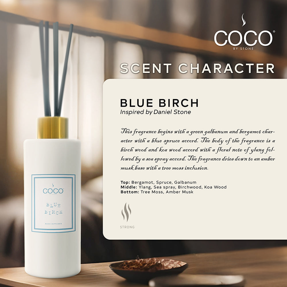 5oz Blue Birch Reed Diffuser