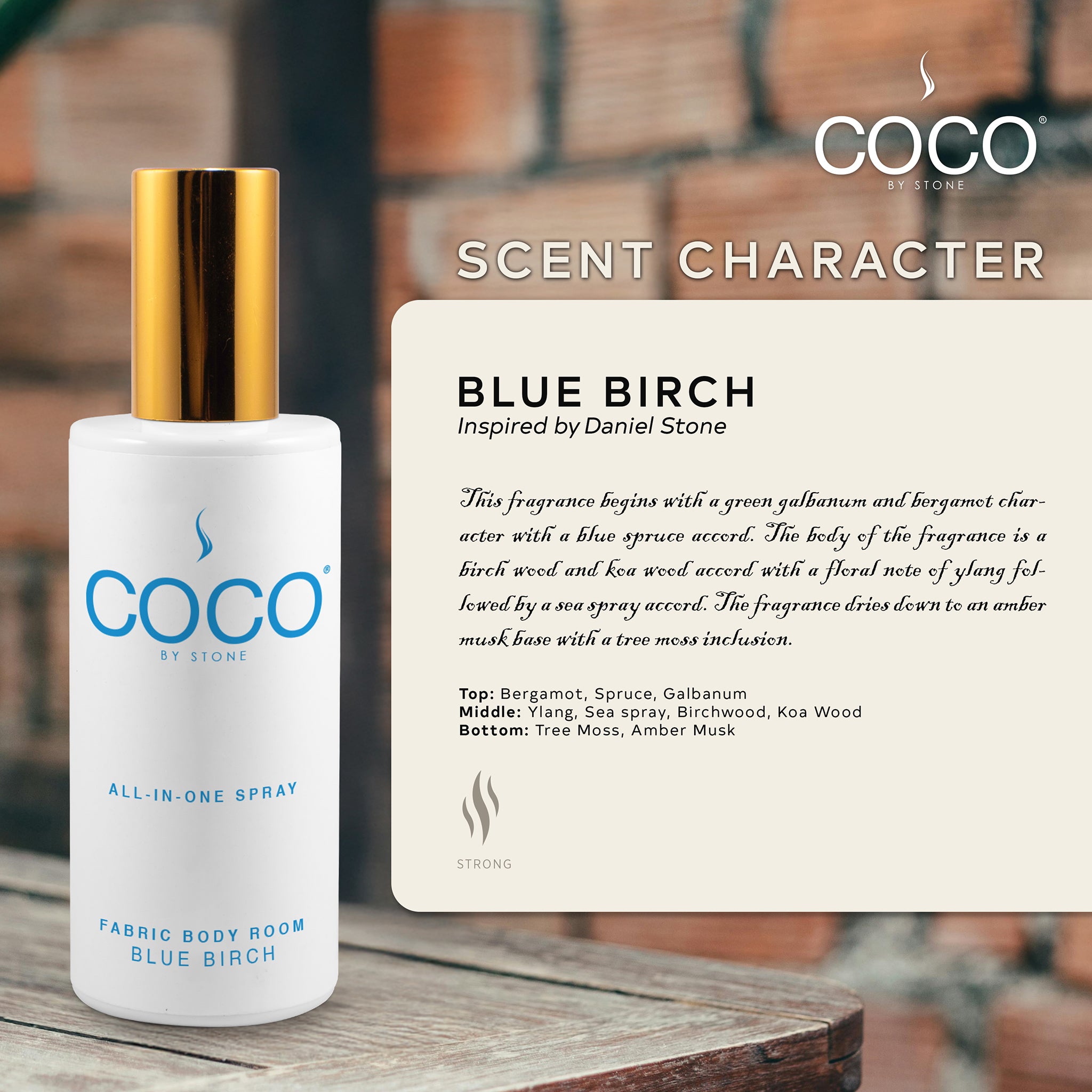 5oz Blue Birch All-In-One Spray