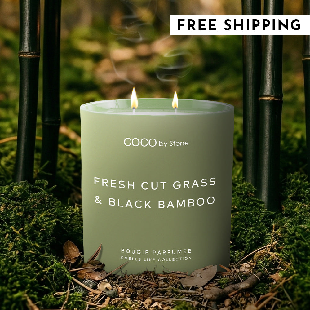 Curated visual reference: 11Oz Smells Like Fresh Cut Grass Black Bamboo Candle Photo Inspiration