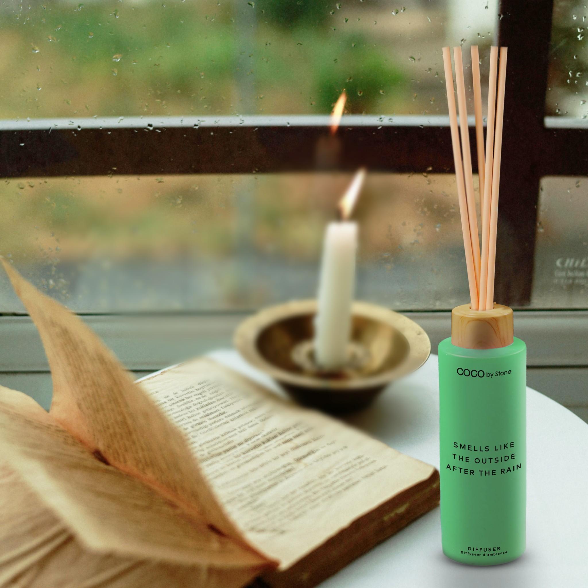 5oz Smells Like The Outside After The Rain Reed Diffuser