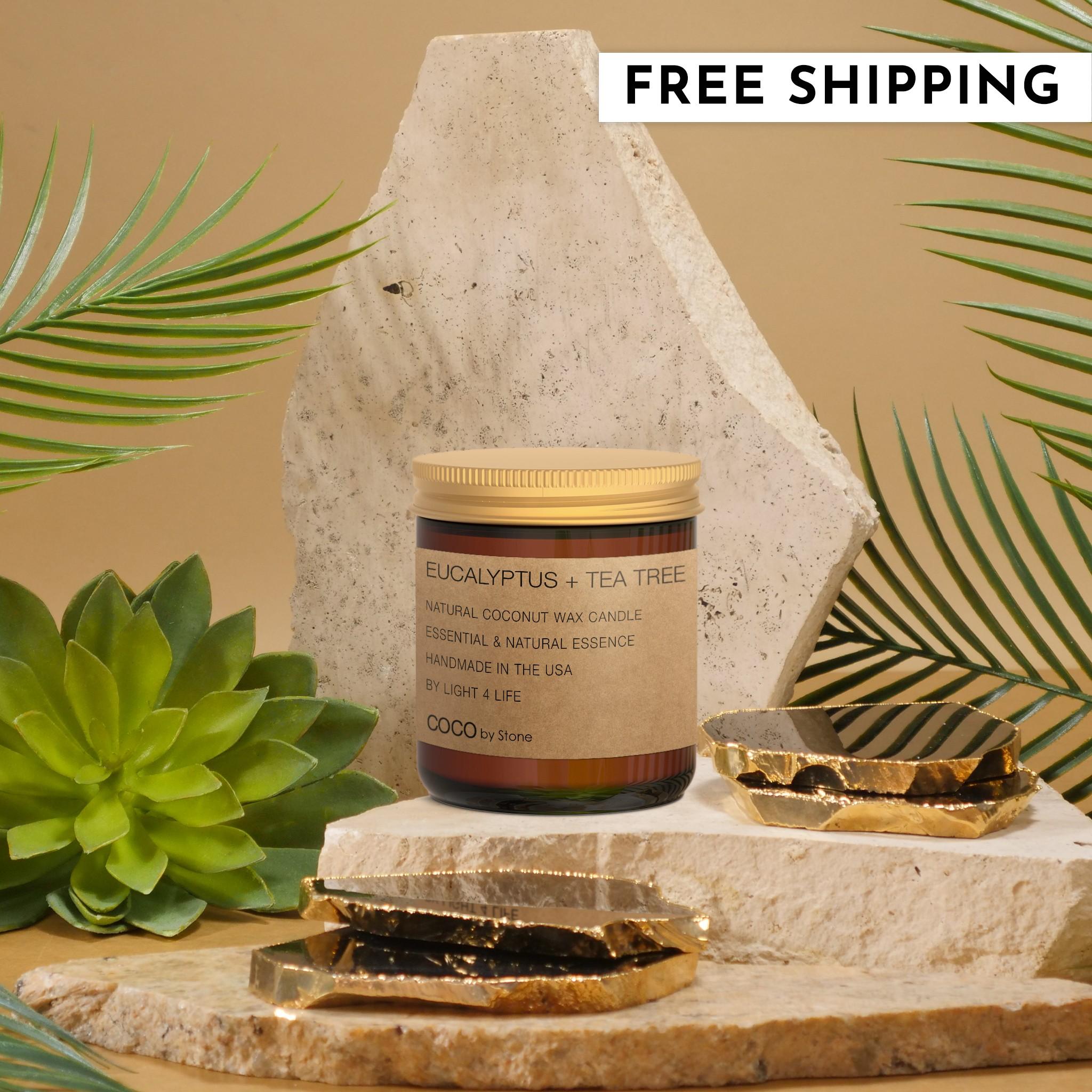 3.5oz Eucalyptus + Tea Tree Natural Coconut Apricot Wax Candle