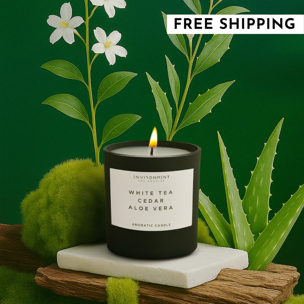 8oz White Tea | Cedar | Aloe Vera Candle with Lid and Box (Inspired by