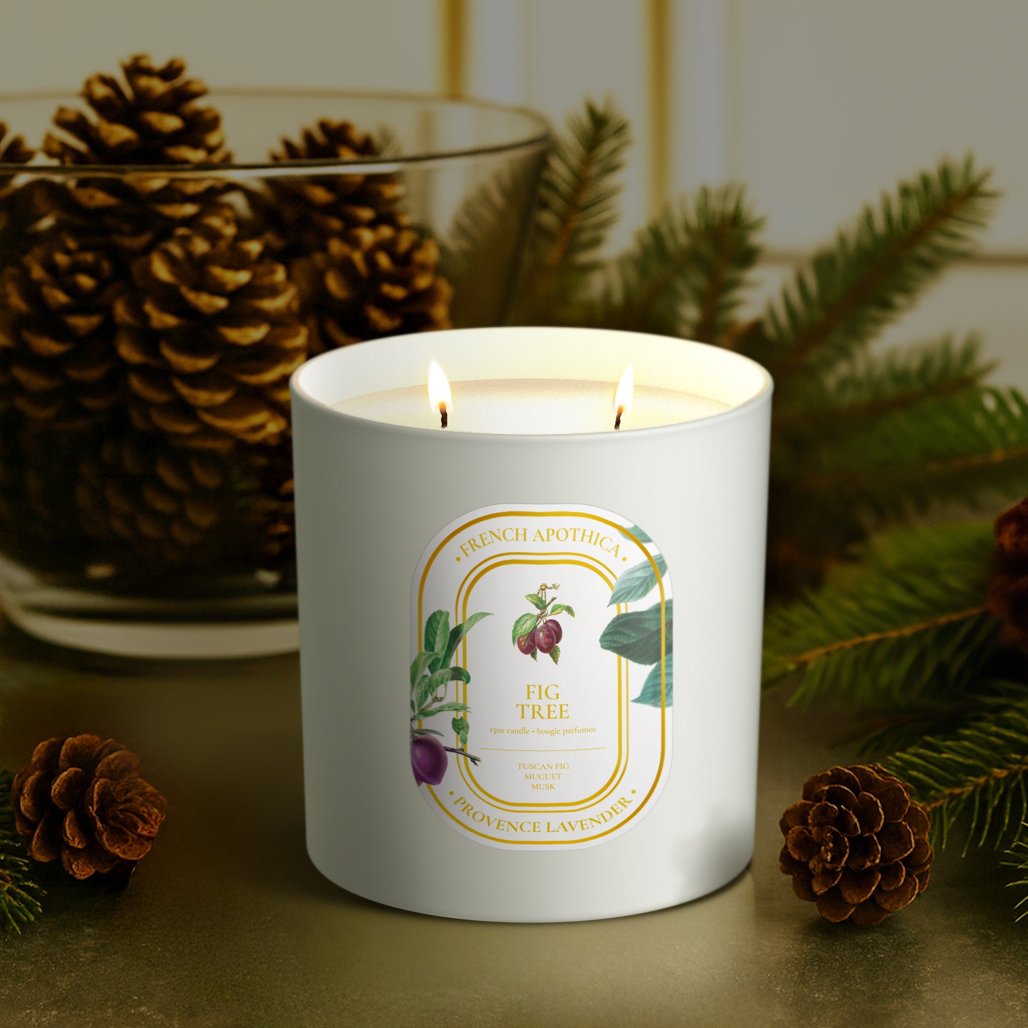 15oz French Apothica Fig Tree Candle