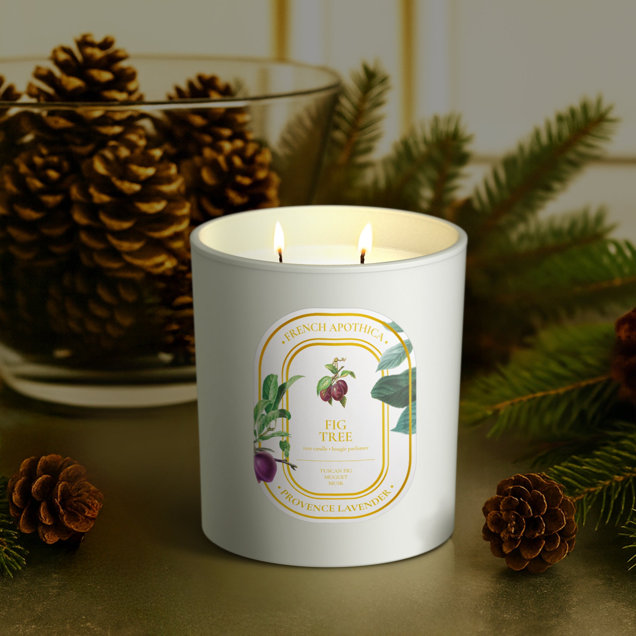 11oz French Apothica Fig Tree Candle