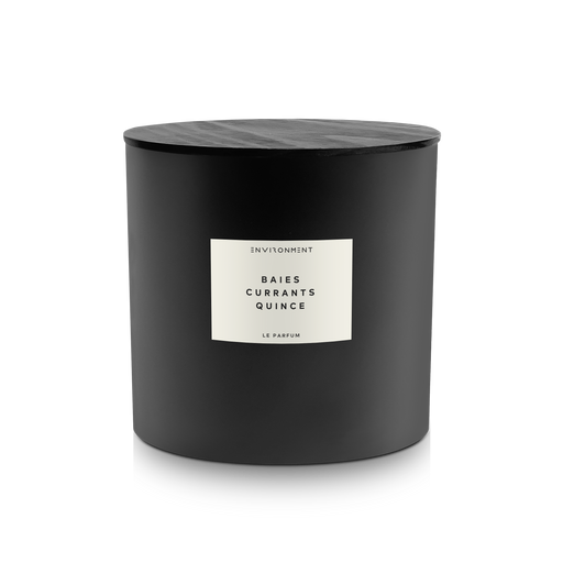 55oz Baies | Currants | Quince Candle (Inspired by Diptyque®)