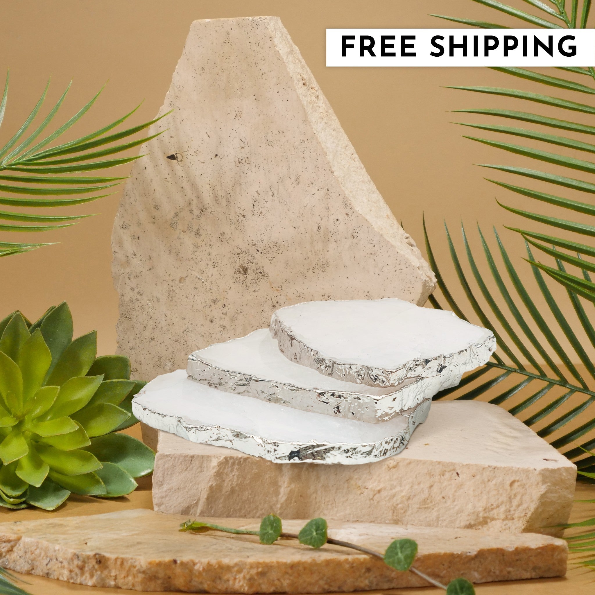 Clear Quartz Crystal Coaster (Silver sides)