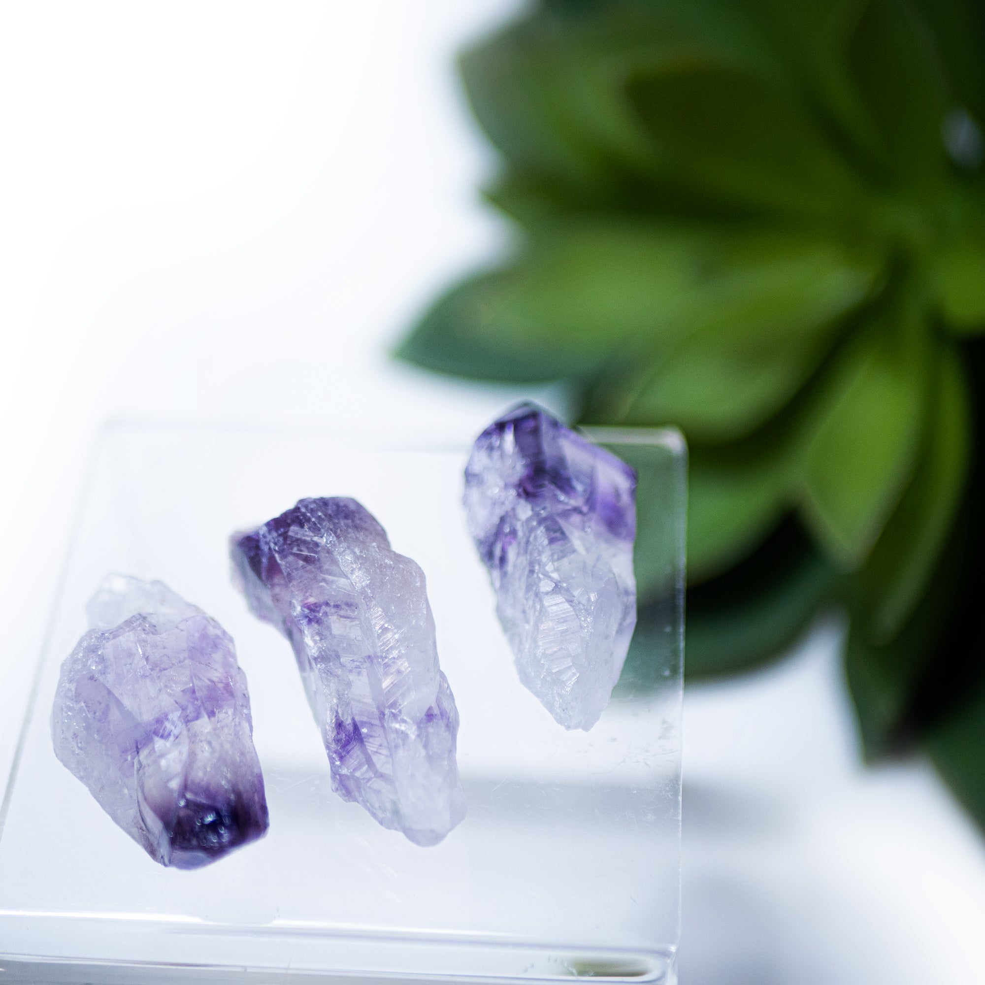 Amethyst Points