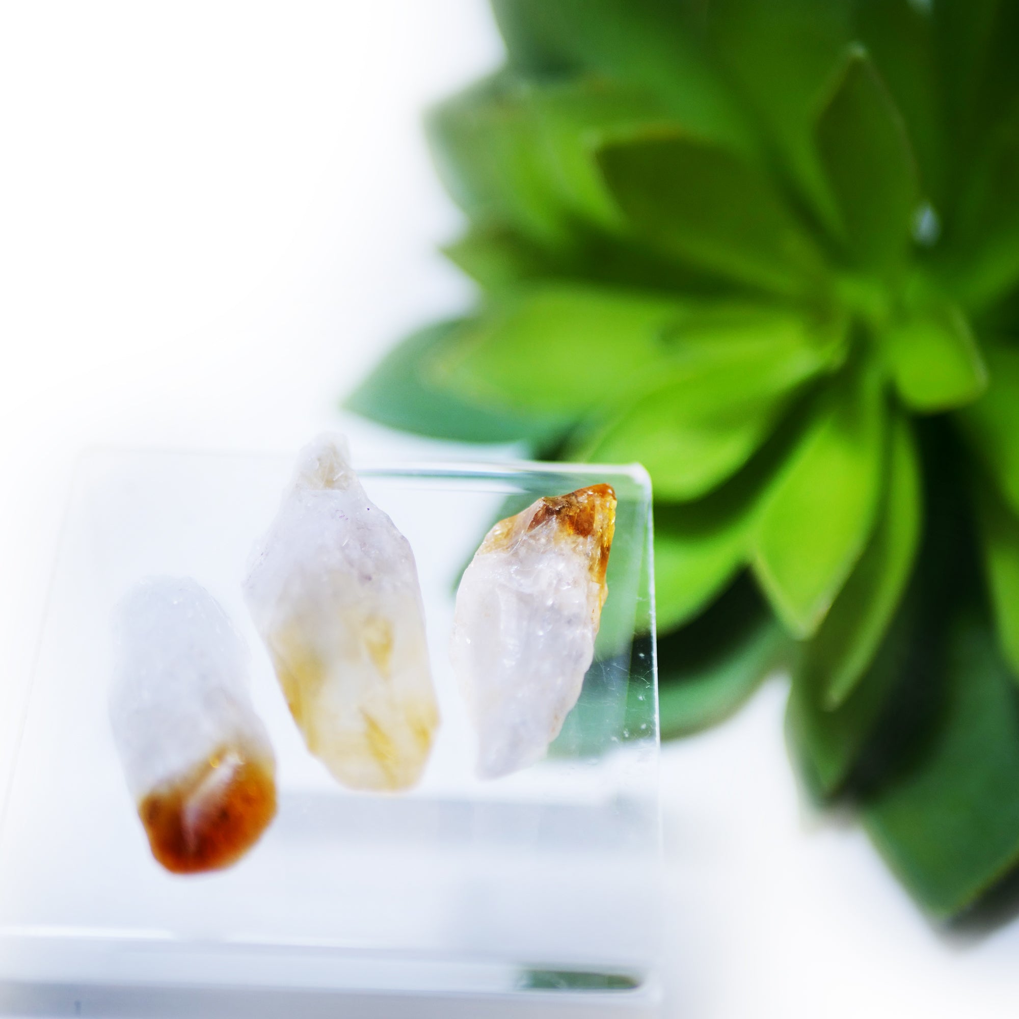 Citrine Points