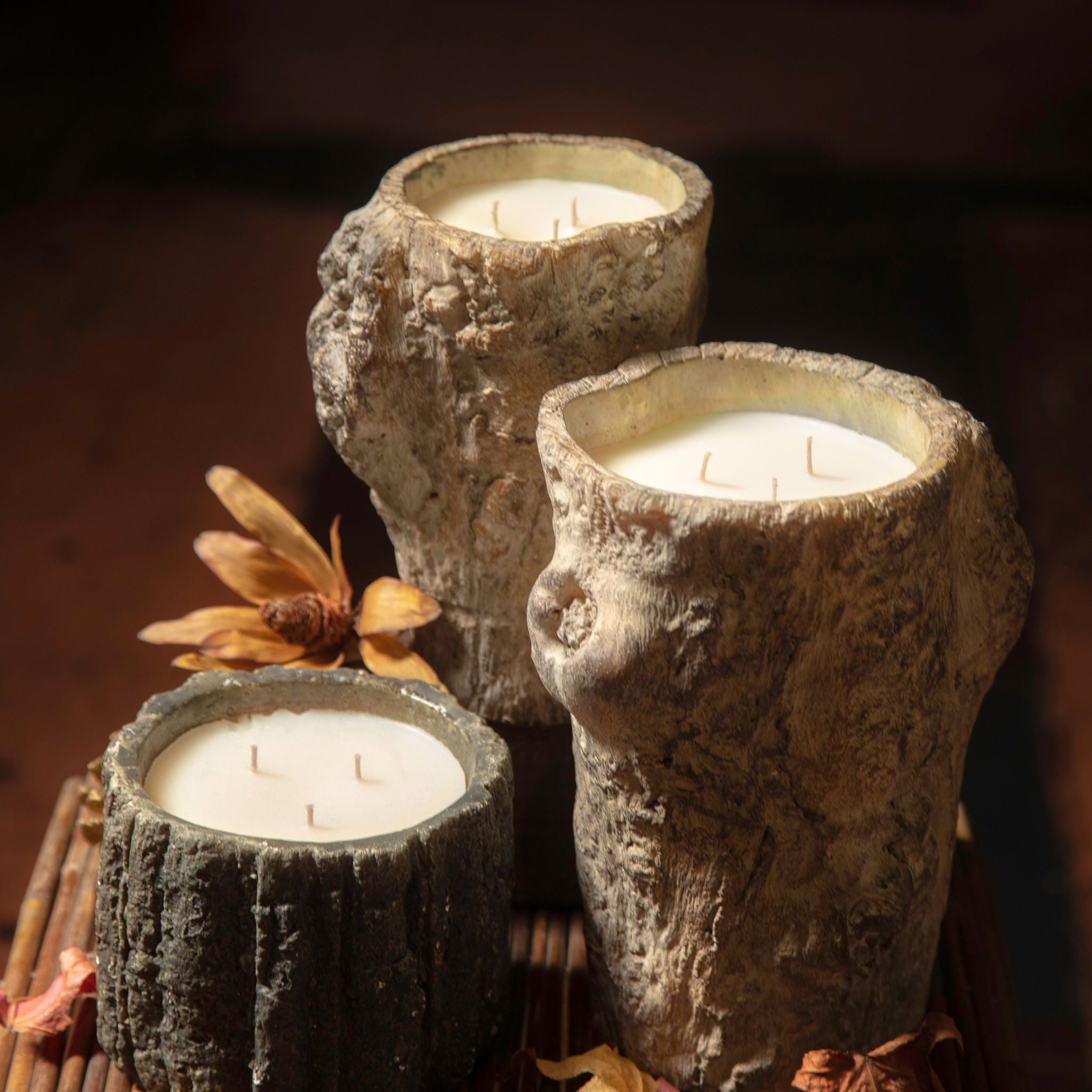 140oz Wooden Tree Trunk Pot Candle