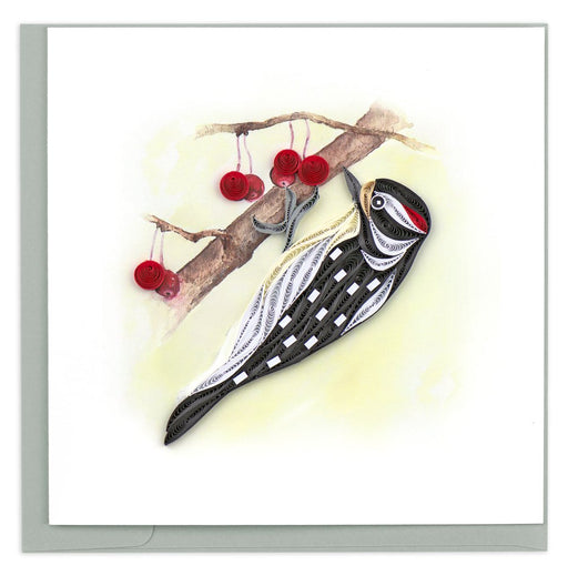 Message Card Downy Woodpecker